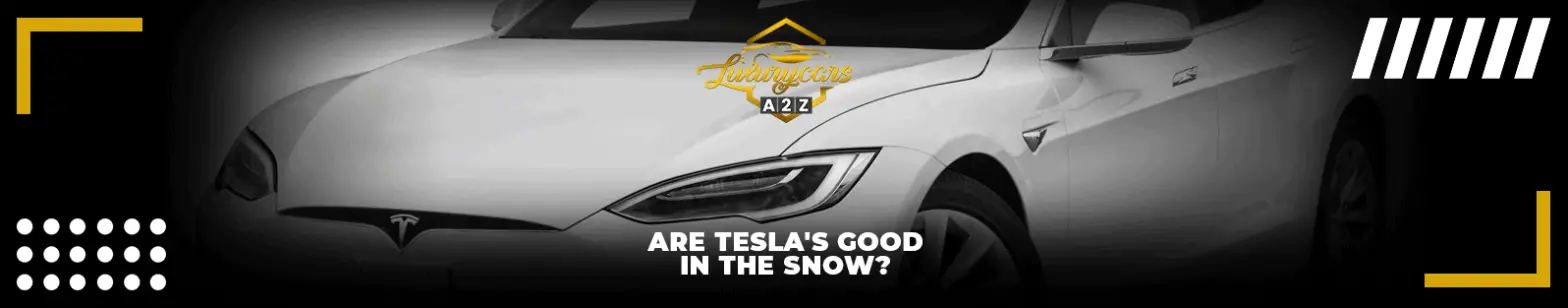 Tesla é bom na neve?