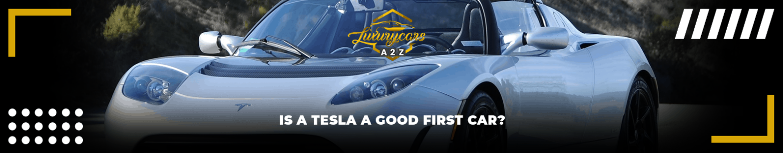 Um Tesla é um bom primeiro carro?